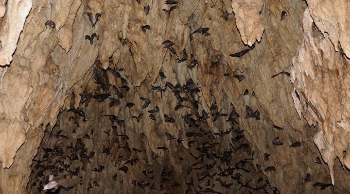 Bulabog Putian National Park