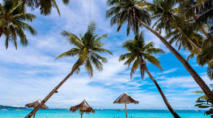 Tuburan Cove Beach Resort