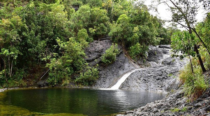 Tuburan Cove Beach Resort