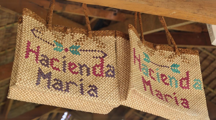 Kalibo Ostrich Paradise