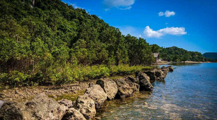 Pagatpat Mangrove Park