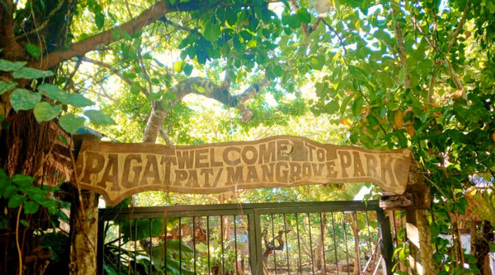 Pagatpat Mangrove Park