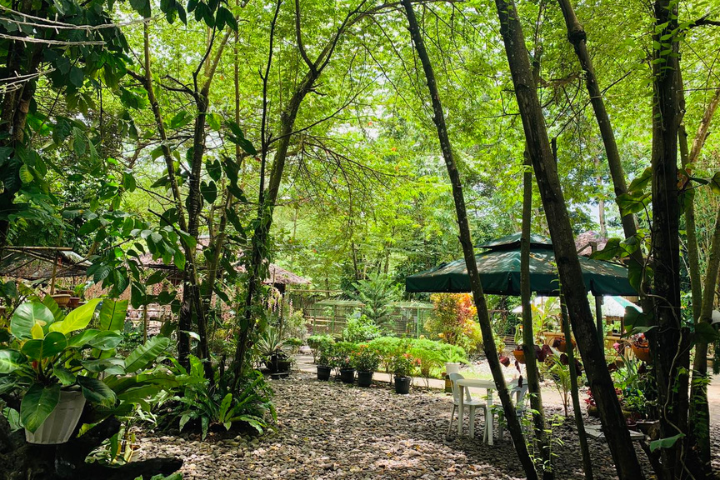 Kalibo Ostrich Paradise